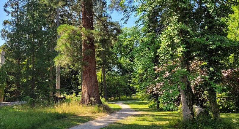 Forstbotanisk Have, Denmark